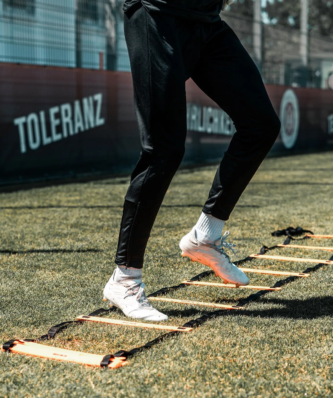 T1TAN Trainingsmateriaal^Coordinatieladder