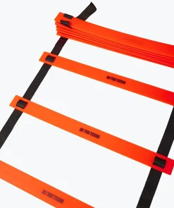 T1TAN Trainingsmateriaal^Coordinatieladder