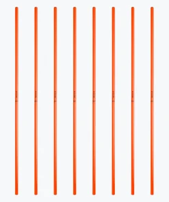 T1TAN Trainingsmateriaal^Slalompalen